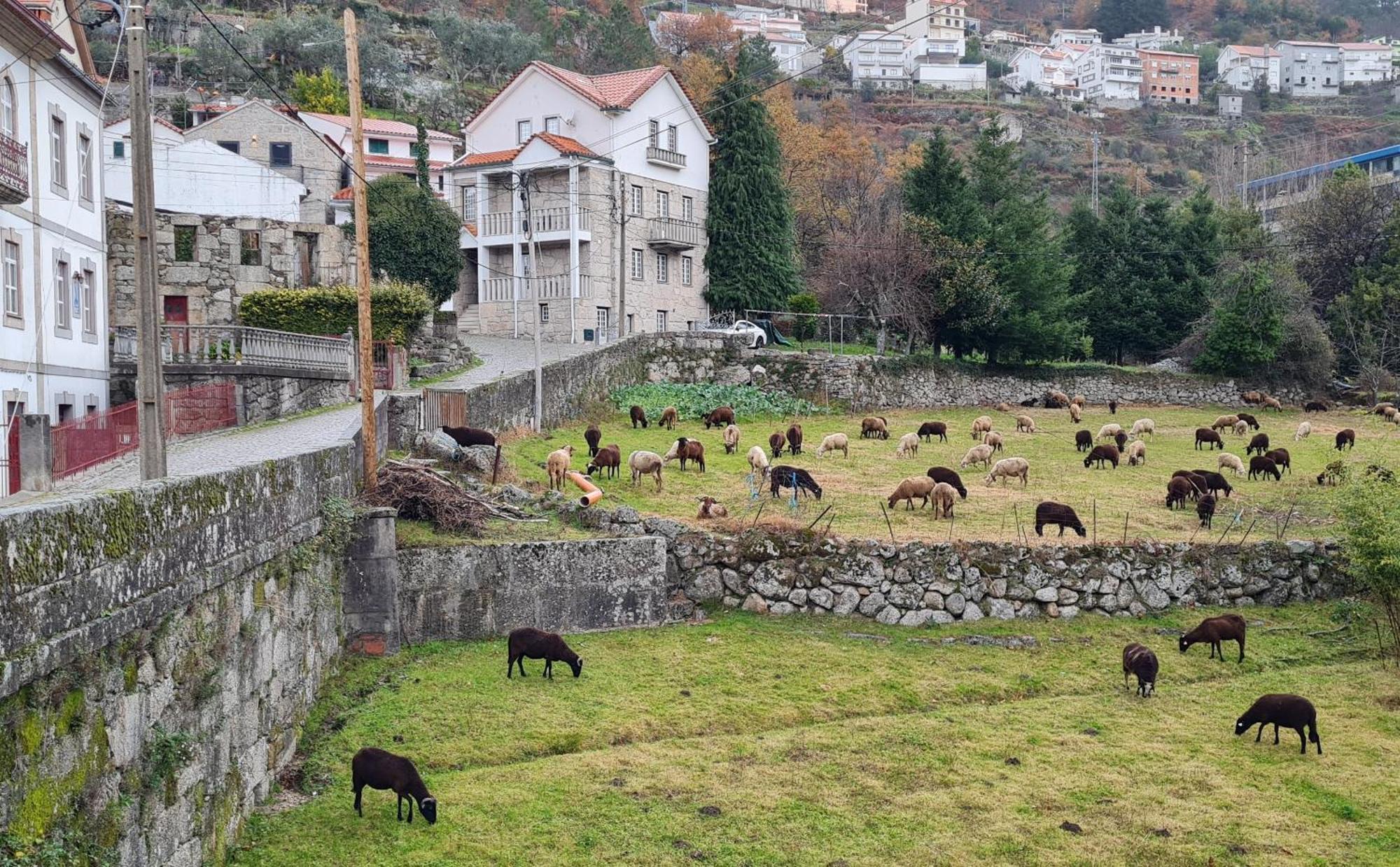 Casa Da Cantareira ลอริกา ภายนอก รูปภาพ